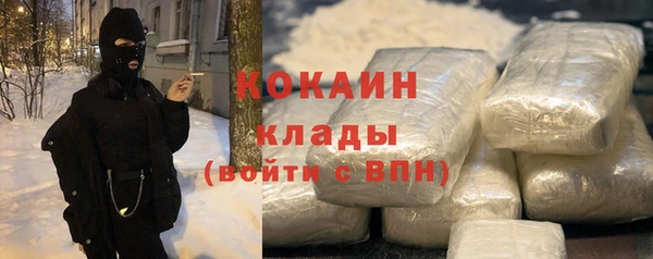 молекула духа Заводоуковск